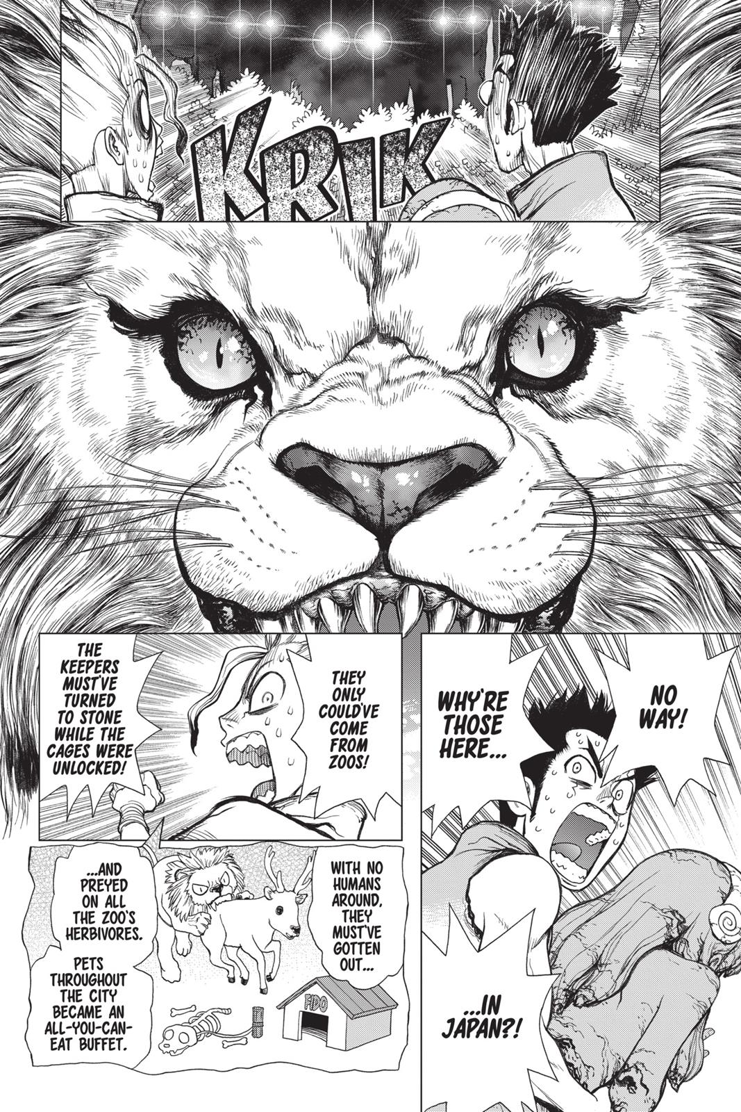 Read Dr. STONE Manga Online