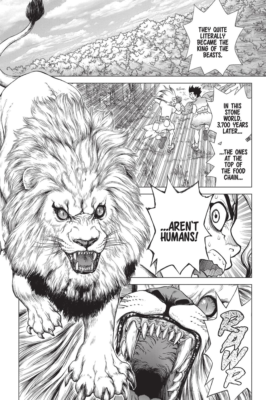 Read Dr. STONE Manga Online
