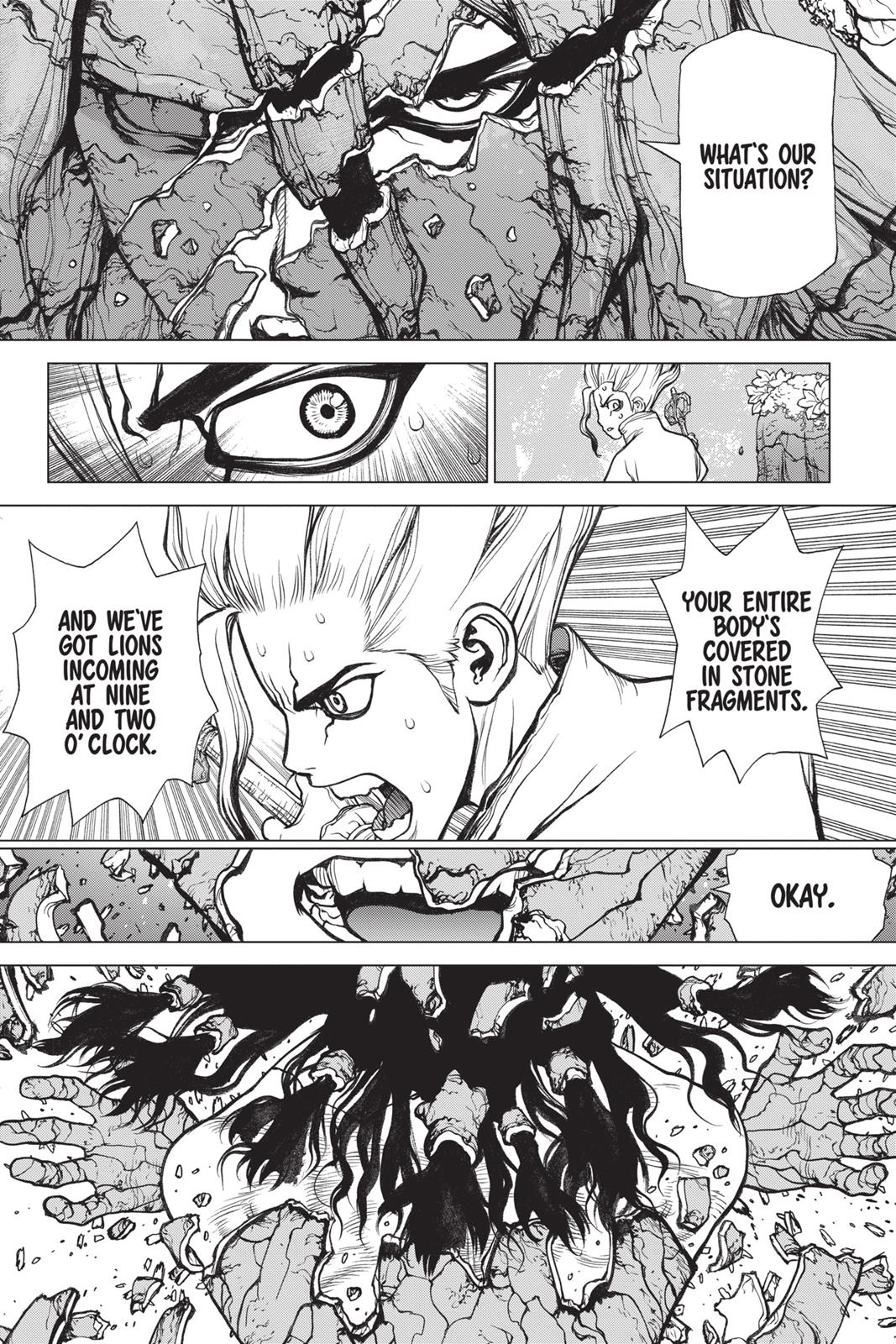 Read Dr. STONE Manga Online