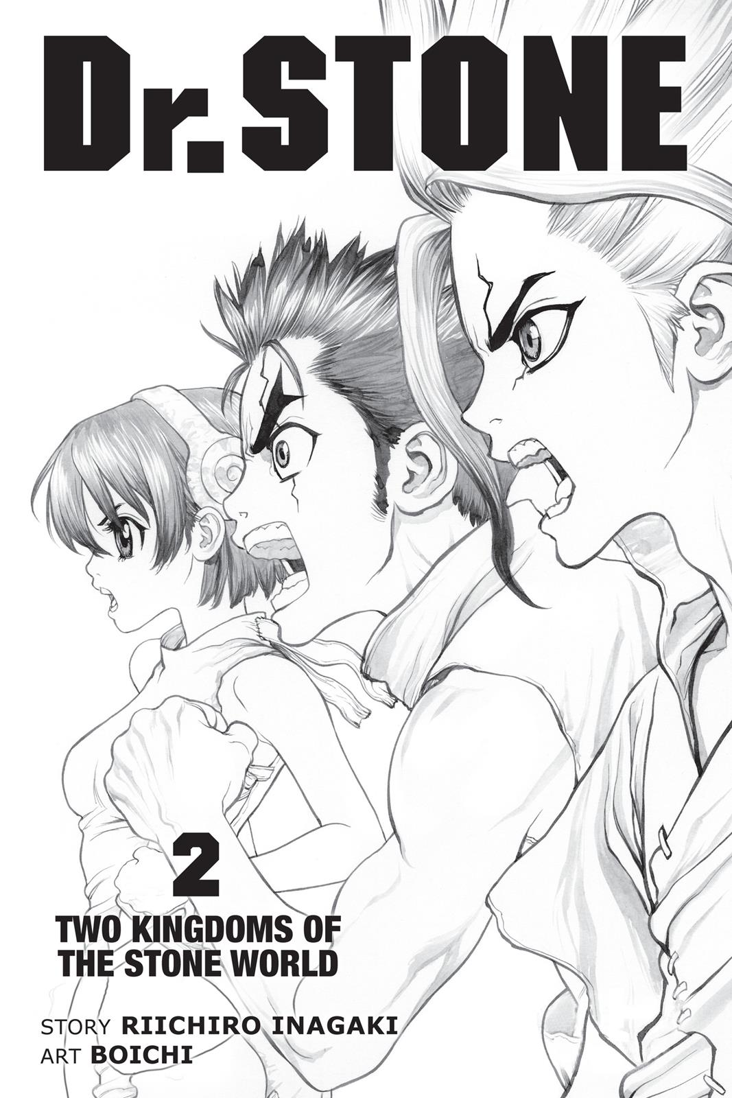 Read Dr. STONE Manga Online