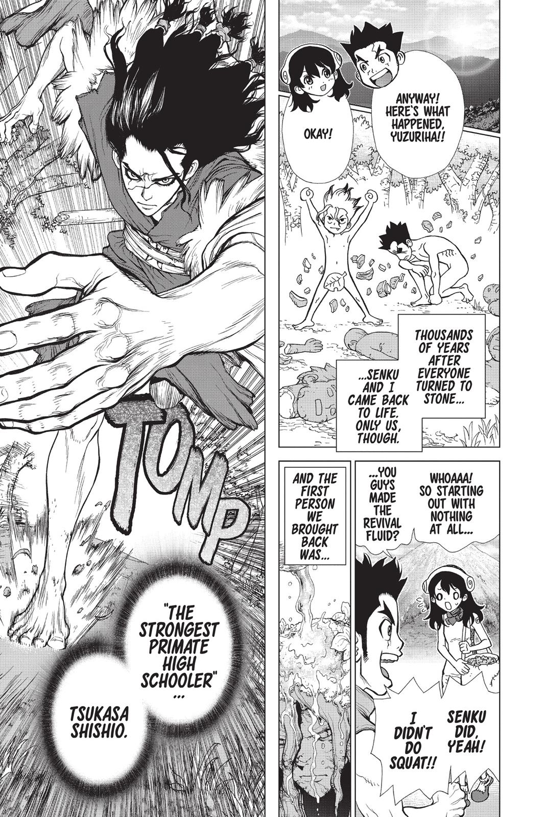 Read Dr. STONE Manga Online