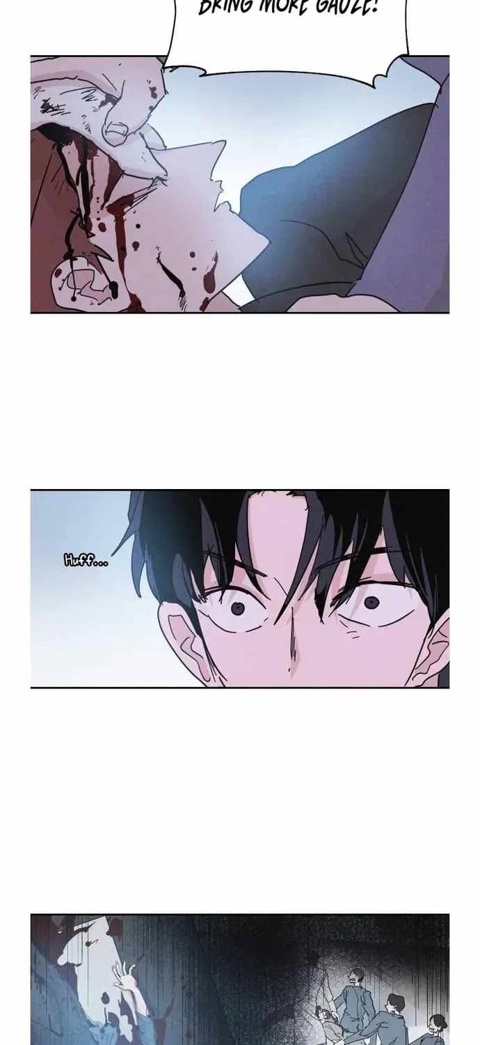 Read Dream Lineup Manga Online