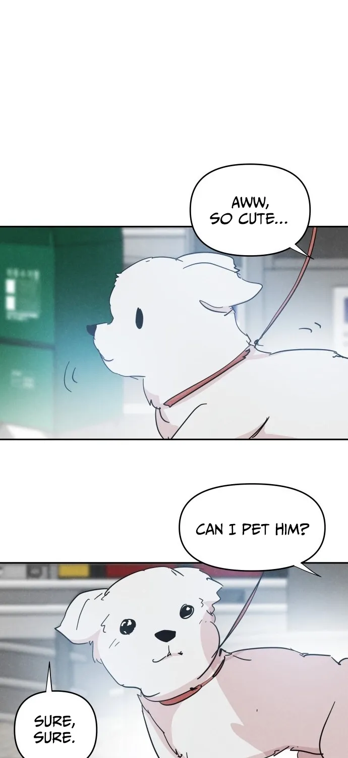 Read Dream Lineup Manga Online