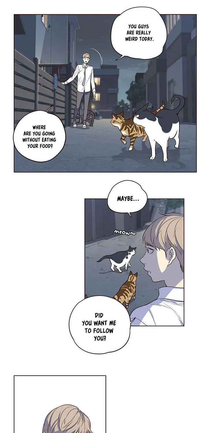 Read Eleceed Manga Online