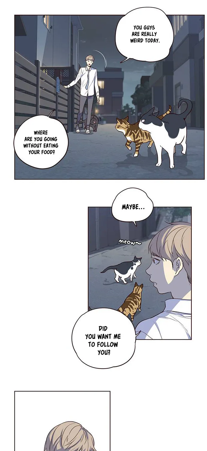 Read Eleceed Manga Online