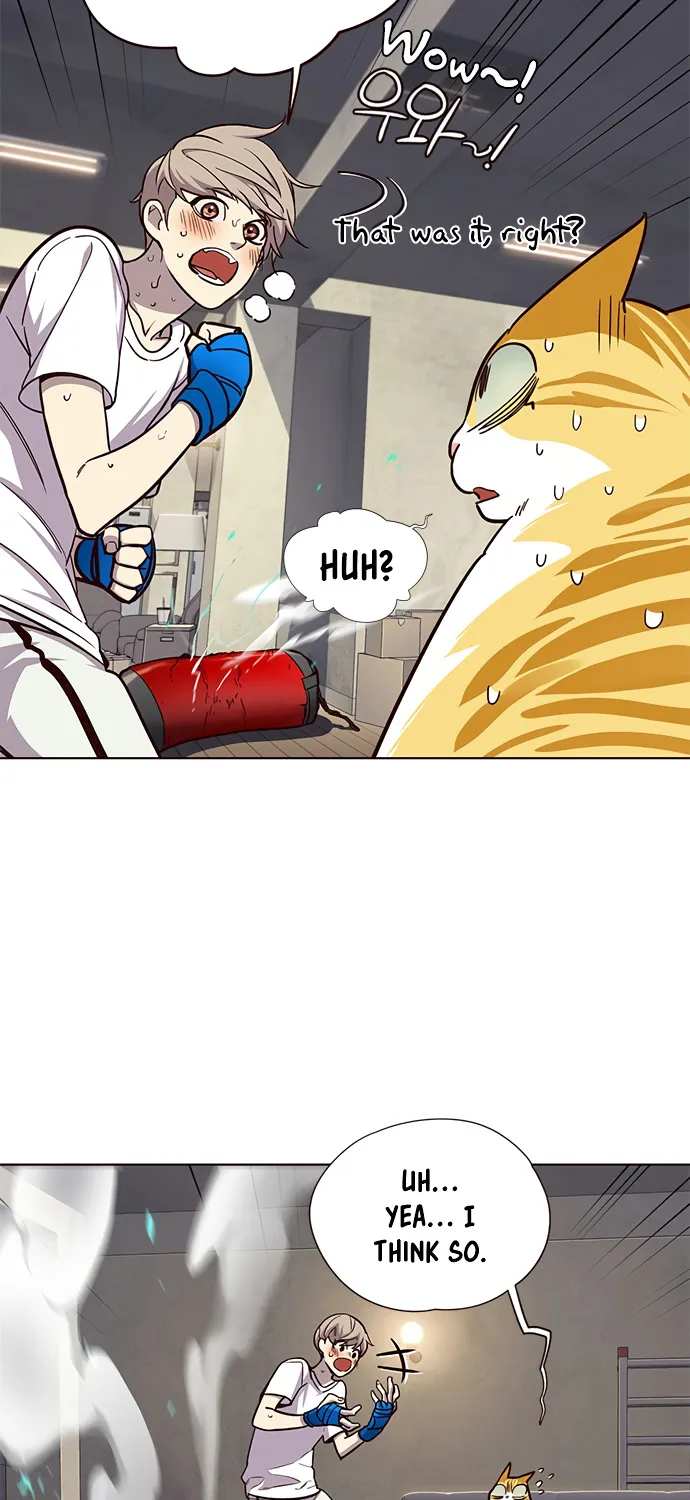 Read Eleceed Manga Online