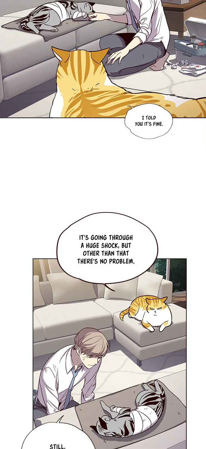 Read Eleceed Manga Online