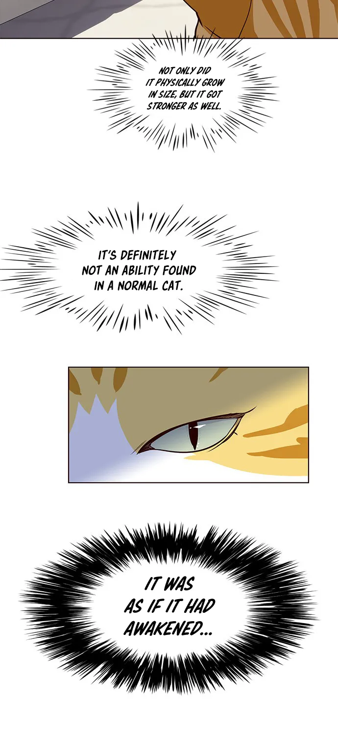 Read Eleceed Manga Online