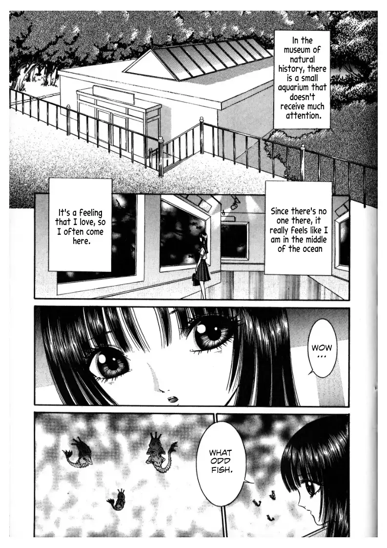 Read False Appearances Manga Online