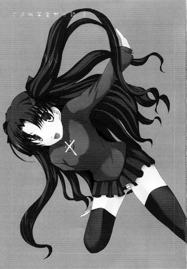 Read Fate-Stay Night - Gokijou Eirei Mokushiroku 2 (Doujinshi) Manga Online