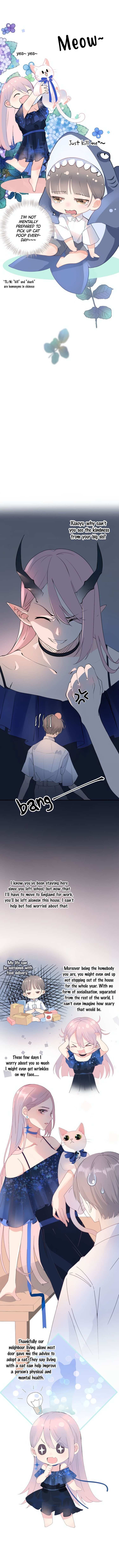 Read Feathers of Light Manga Online