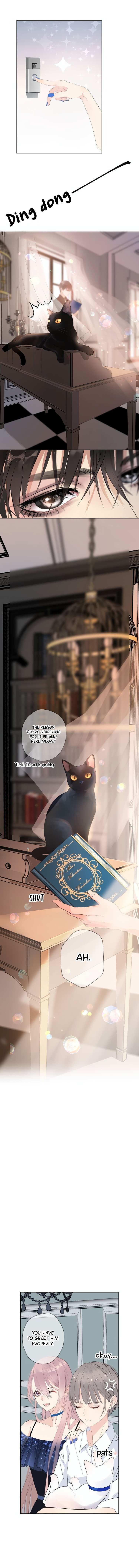 Read Feathers of Light Manga Online