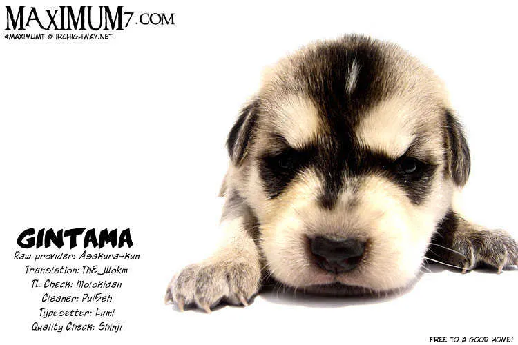 Read Gintama Manga Online