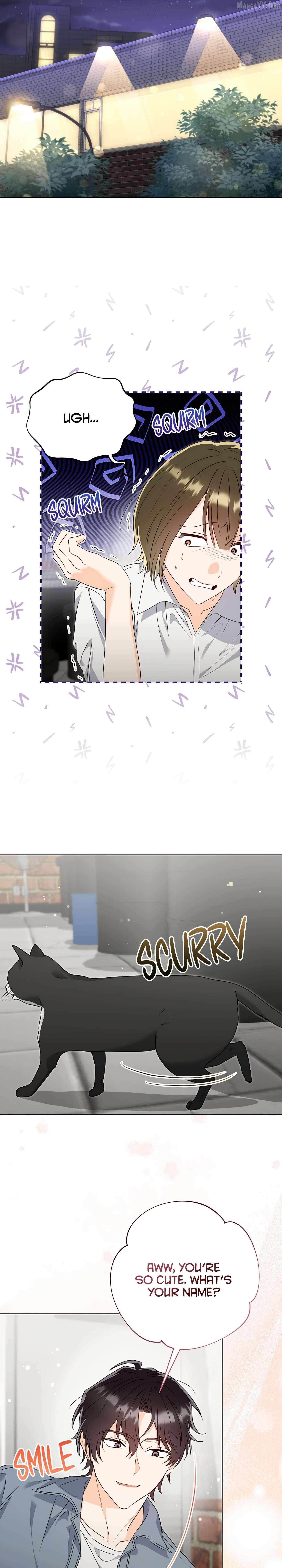 Read Gluttonous Romance Manga Online