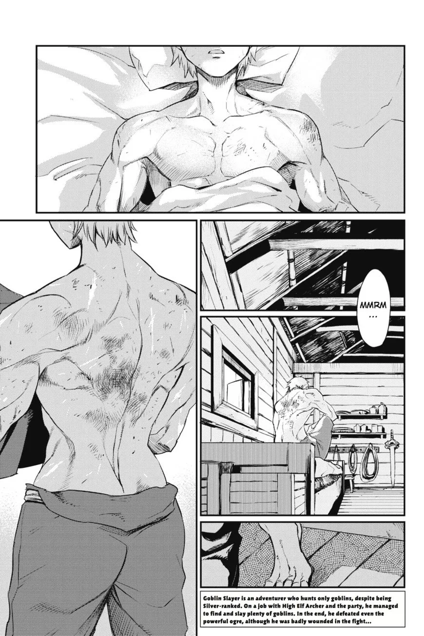 Read Goblin Slayer Manga Online