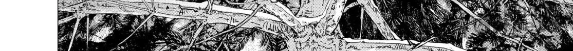 Read Golden Kamuy Manga Online