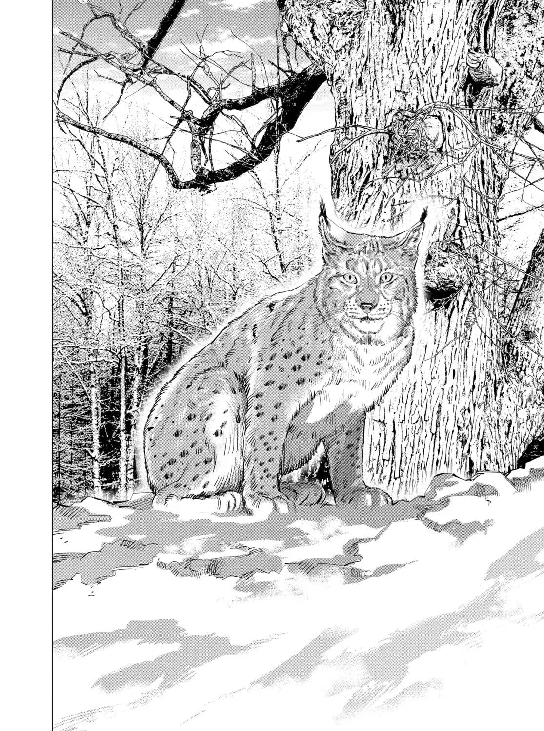 Read Golden Kamuy Manga Online