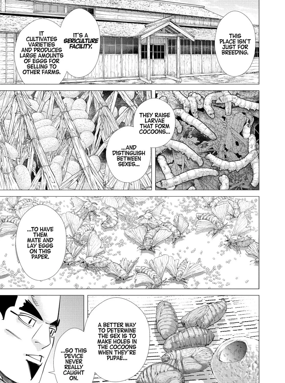 Read Golden Kamuy Manga Online