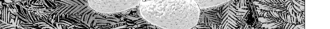 Read Golden Kamuy Manga Online