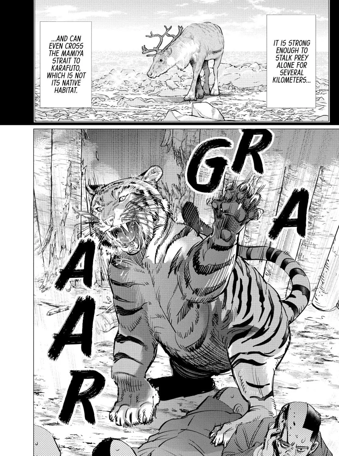 Read Golden Kamuy Manga Online