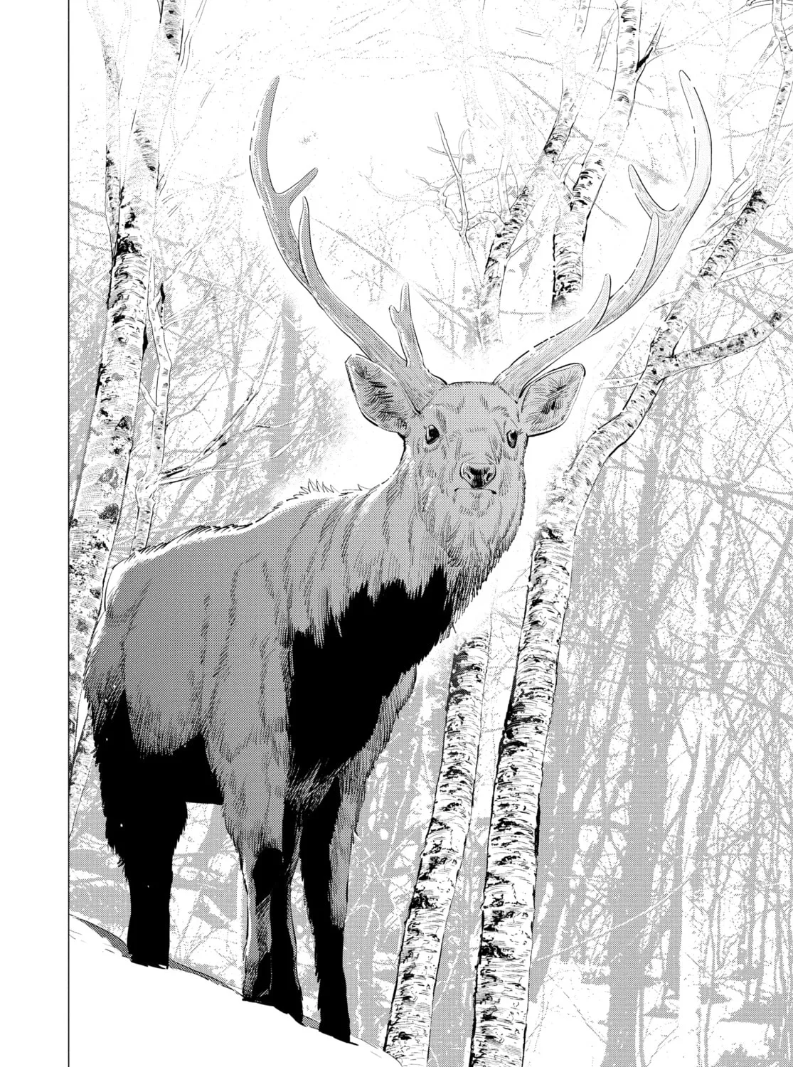 Read Golden Kamuy Manga Online