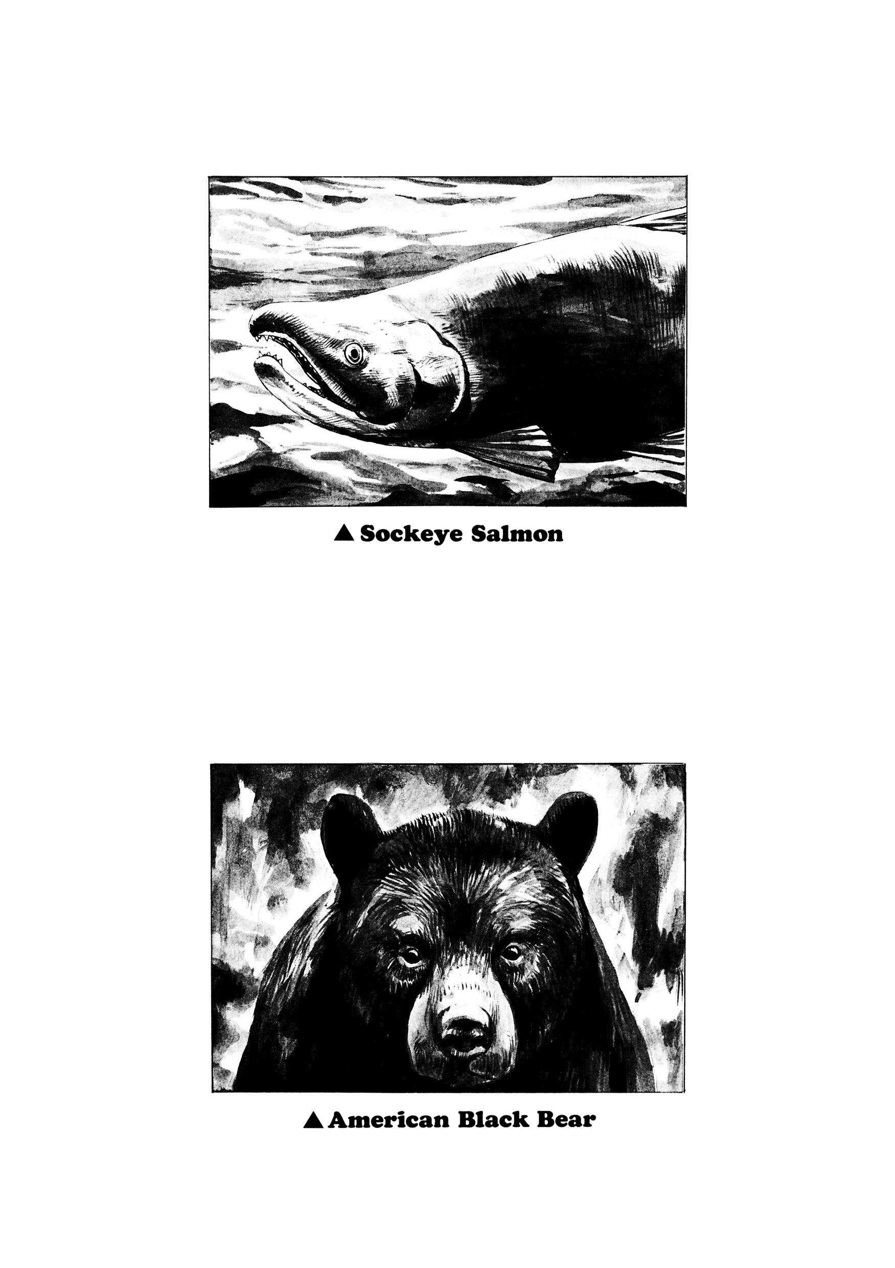 Read Gon Manga Online