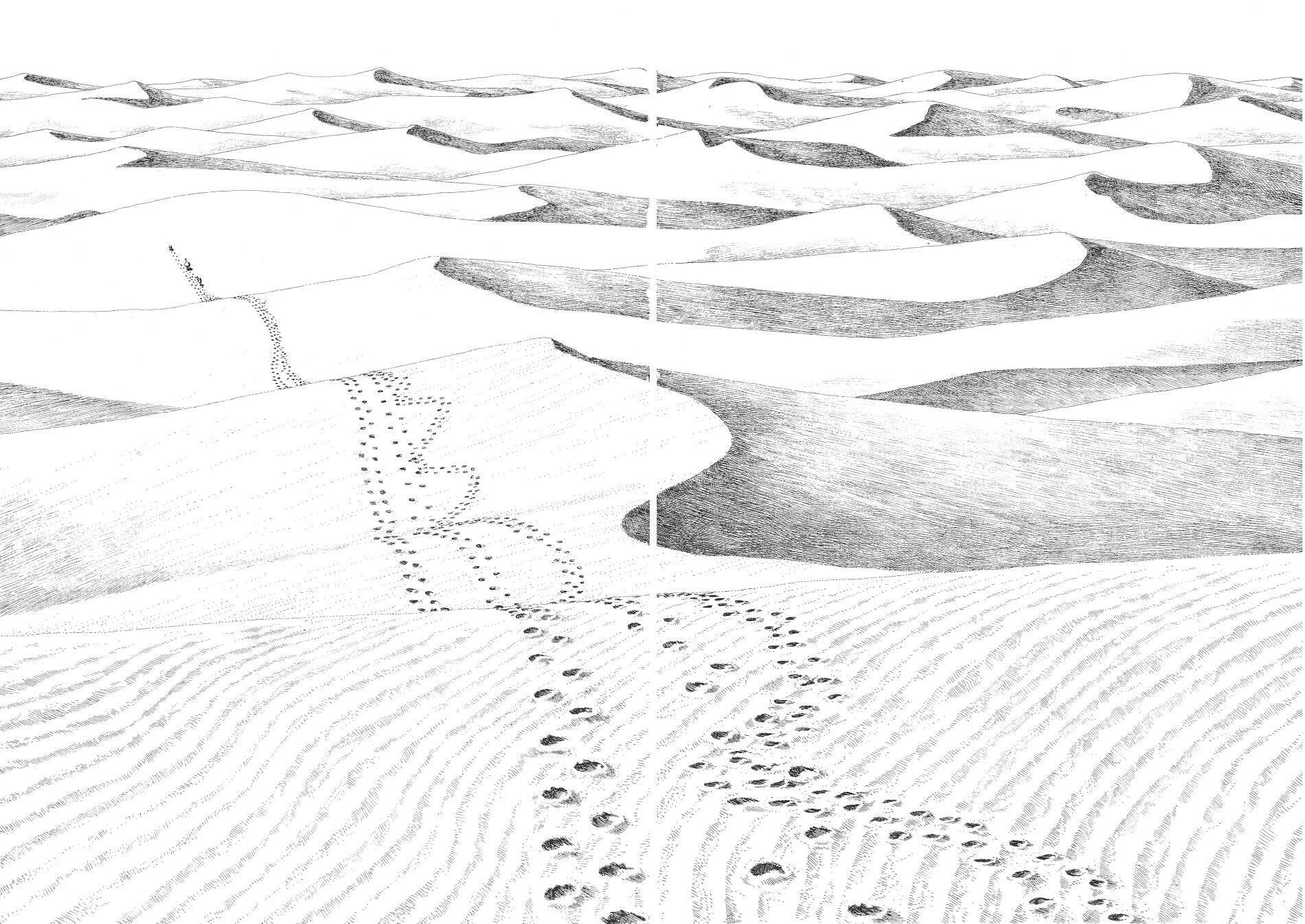 Read Gon Manga Online