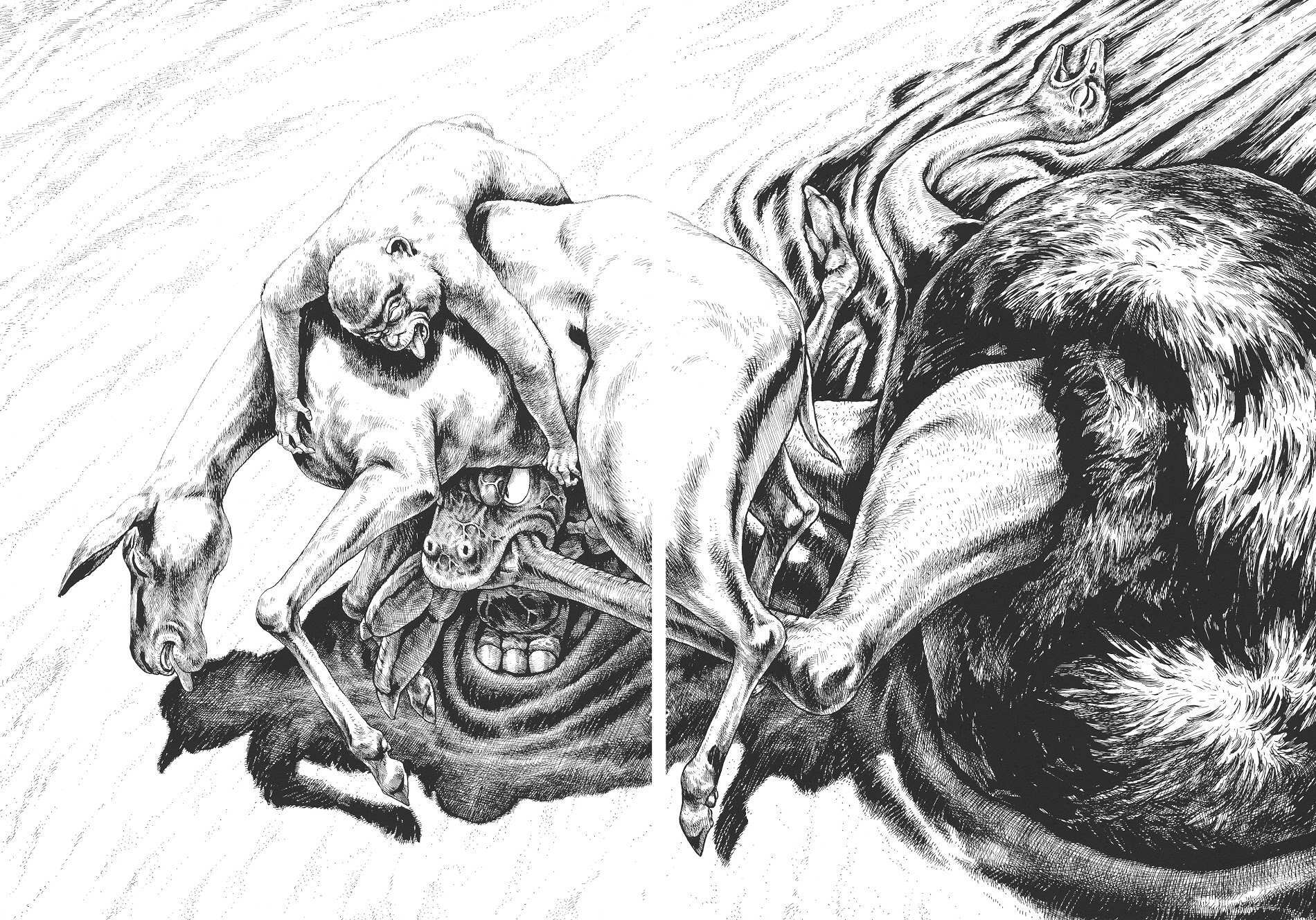 Read Gon Manga Online