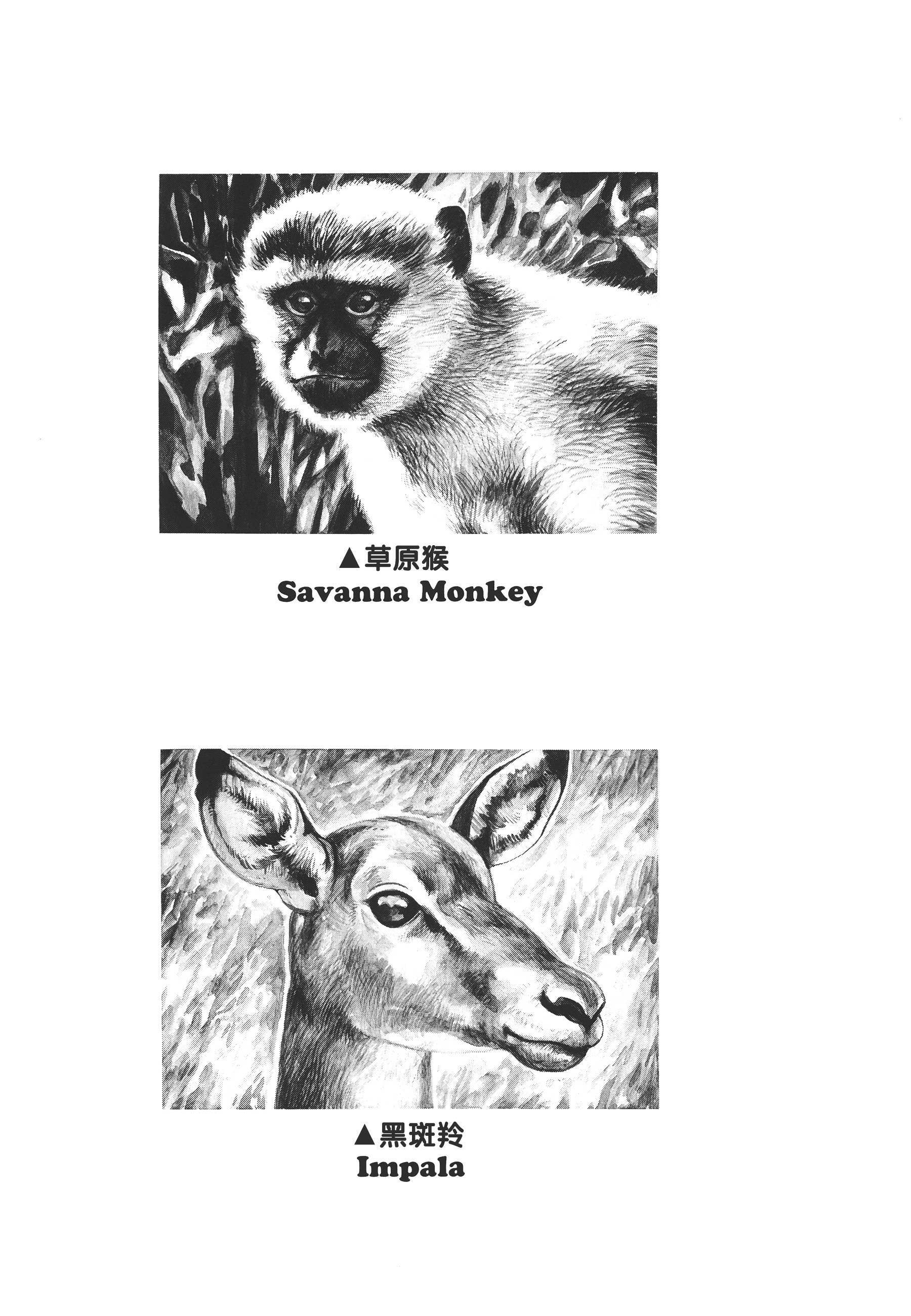 Read Gon Manga Online