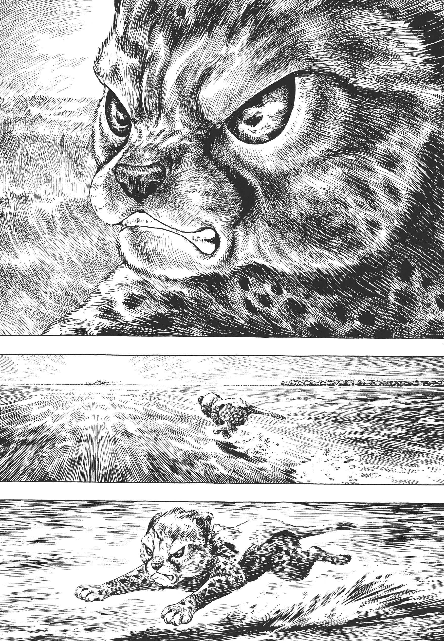 Read Gon Manga Online