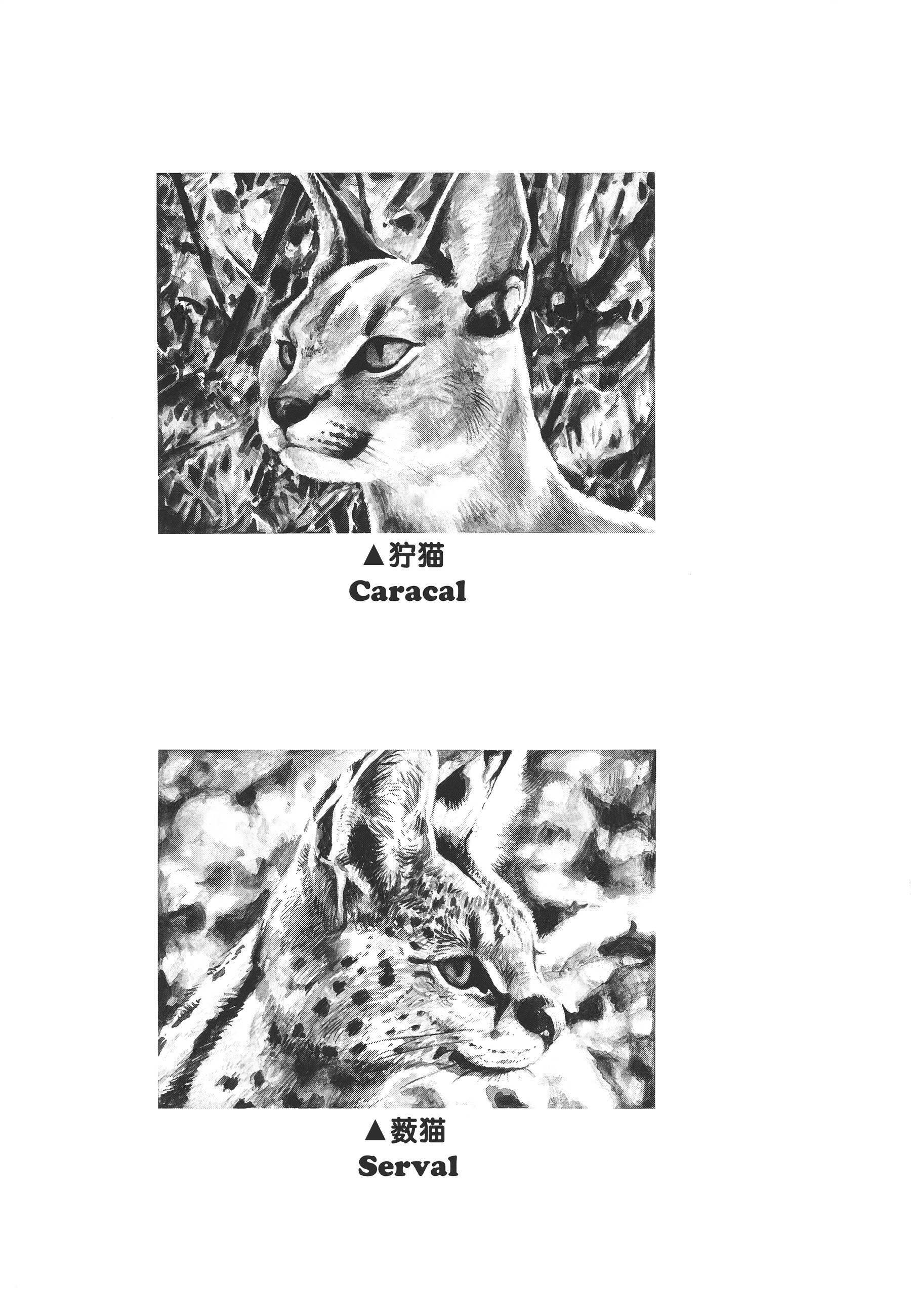 Read Gon Manga Online