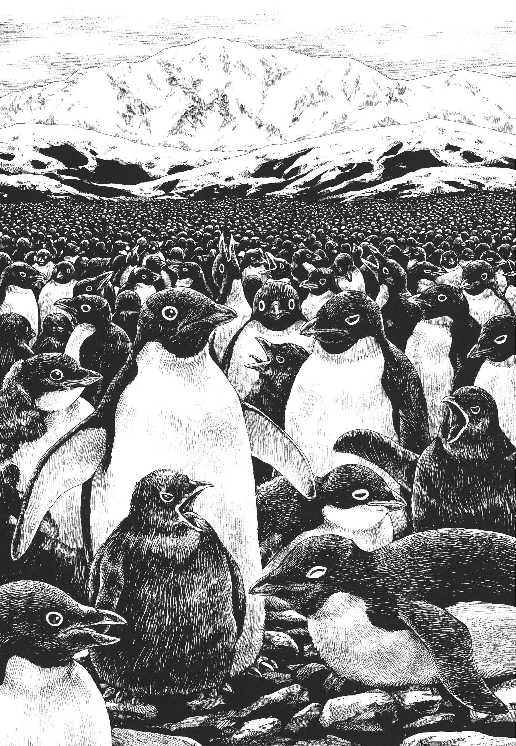 Read Gon Manga Online