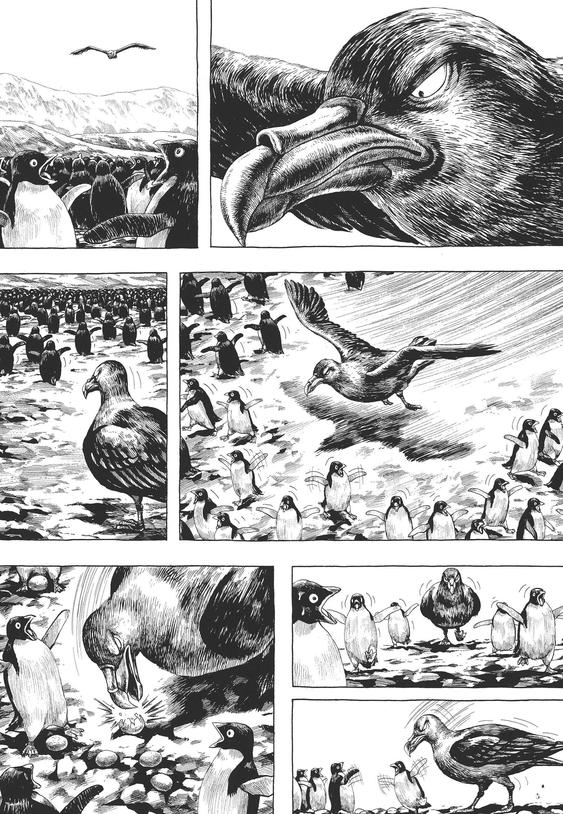 Read Gon Manga Online