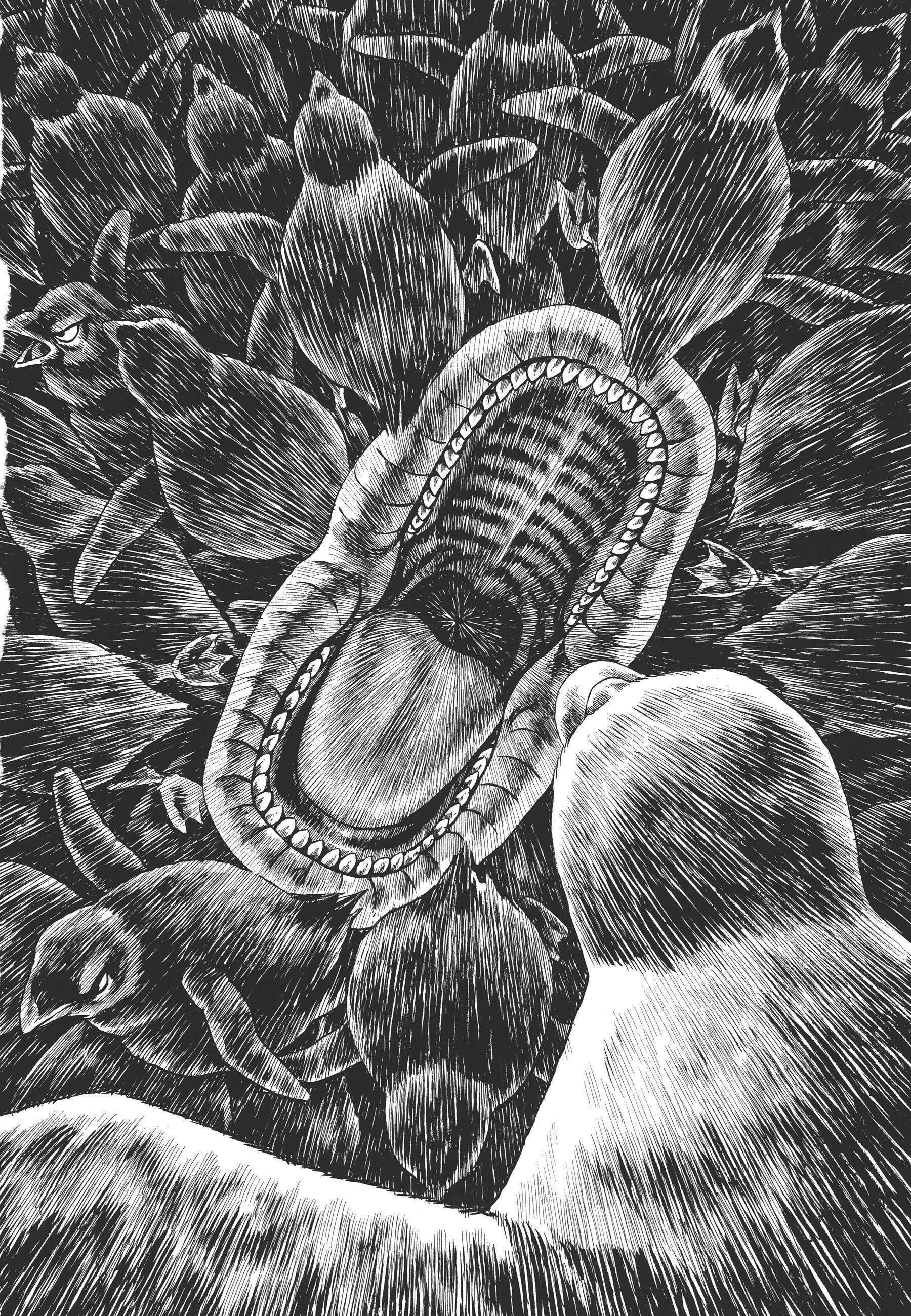 Read Gon Manga Online