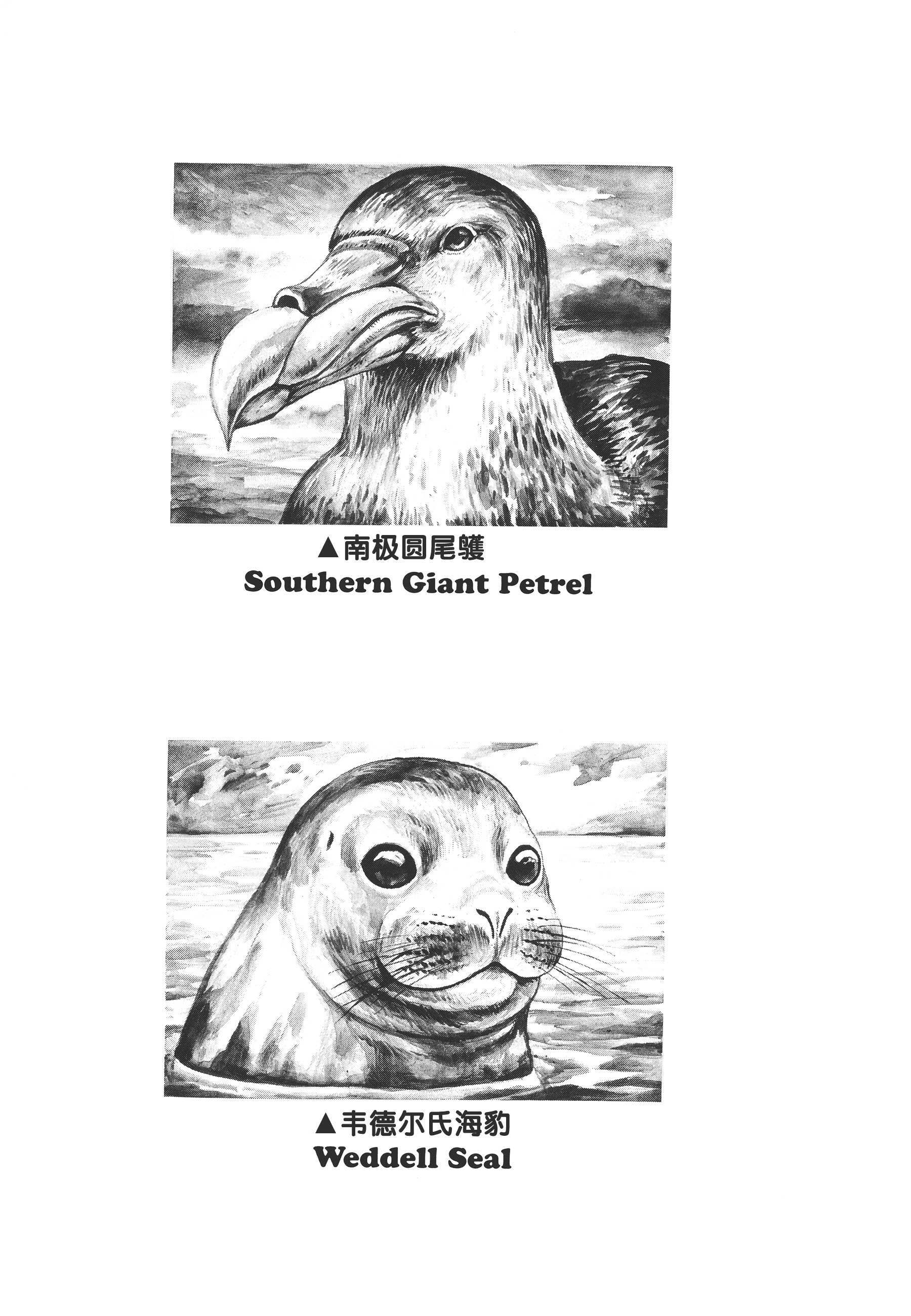 Read Gon Manga Online