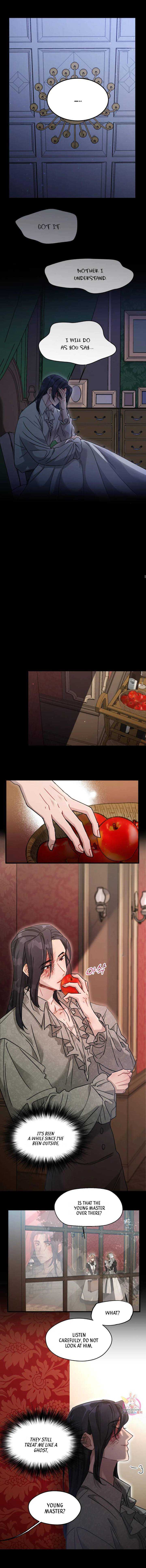 Read Gray Maid Manga Online