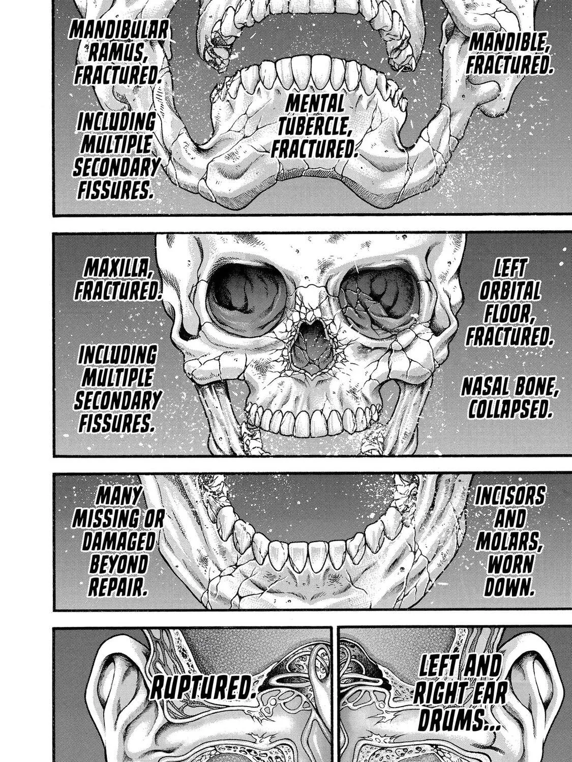 Read Hanma Baki Manga Online