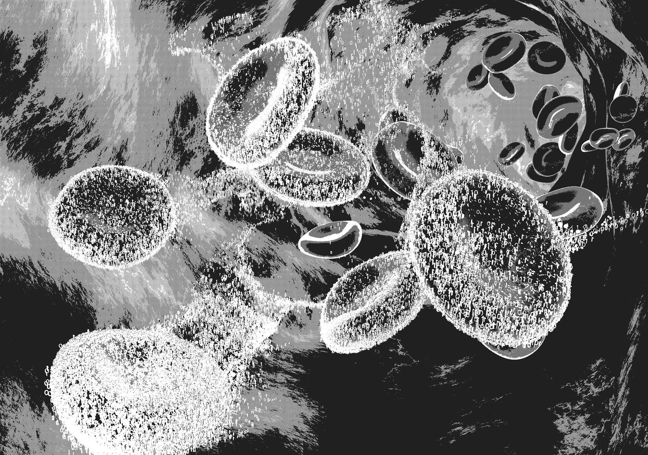 Read Hikari-Man Manga Online