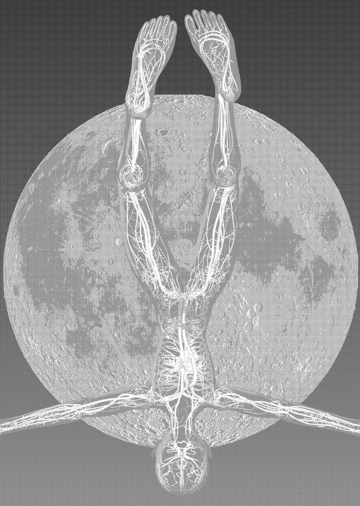 Read Hikari-Man Manga Online