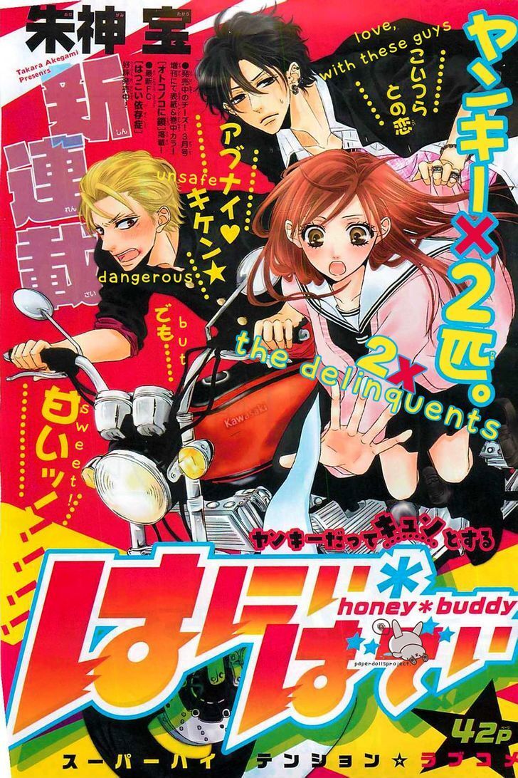 Read Honey Buddy Manga Online
