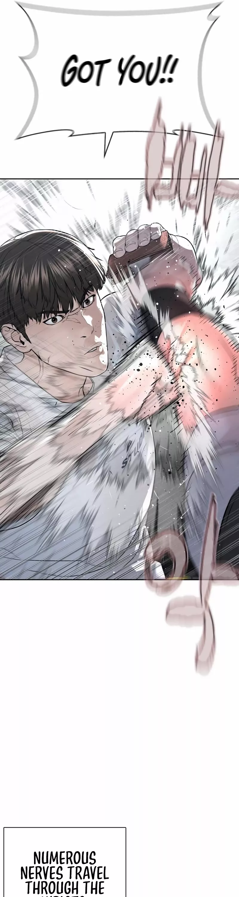 Read How to Fight Manga Online