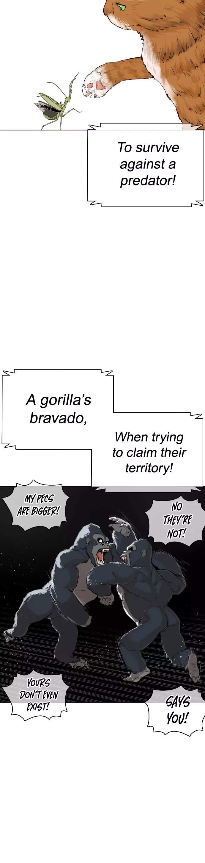 Read How to Fight Manga Online