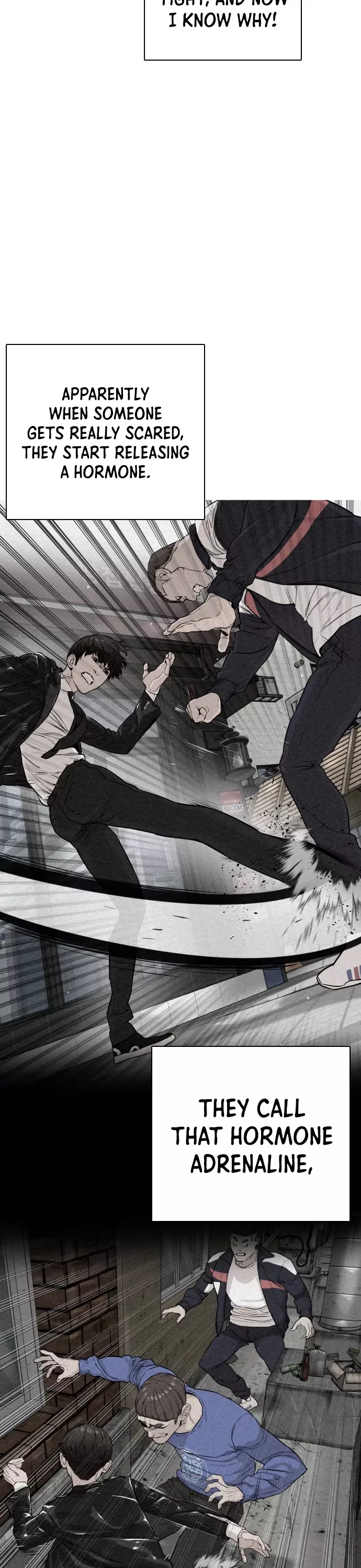 Read How to Fight Manga Online