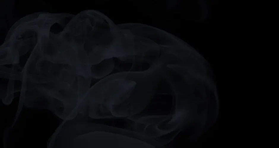 Read I Came Back as a Martial Genius Manga Online