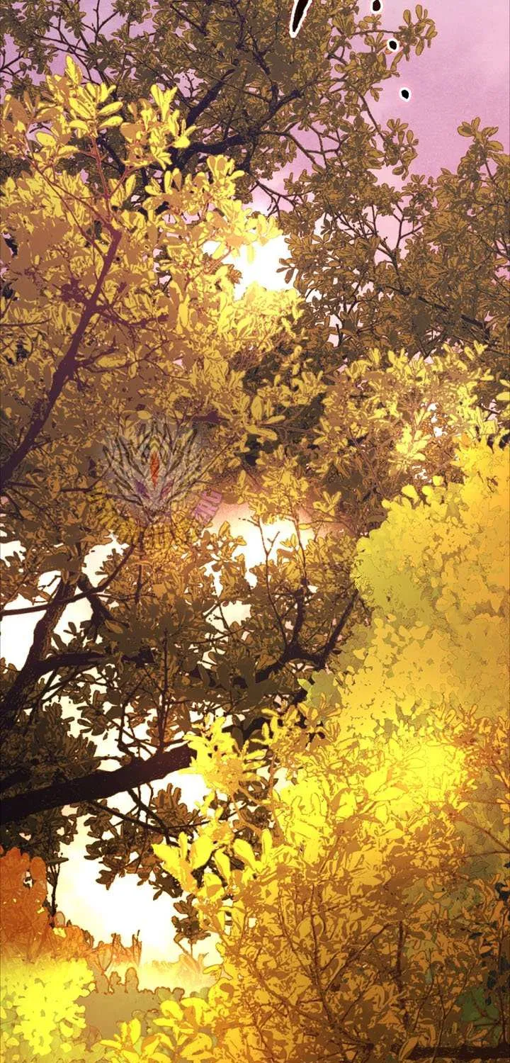 Read I Came Back as a Martial Genius Manga Online