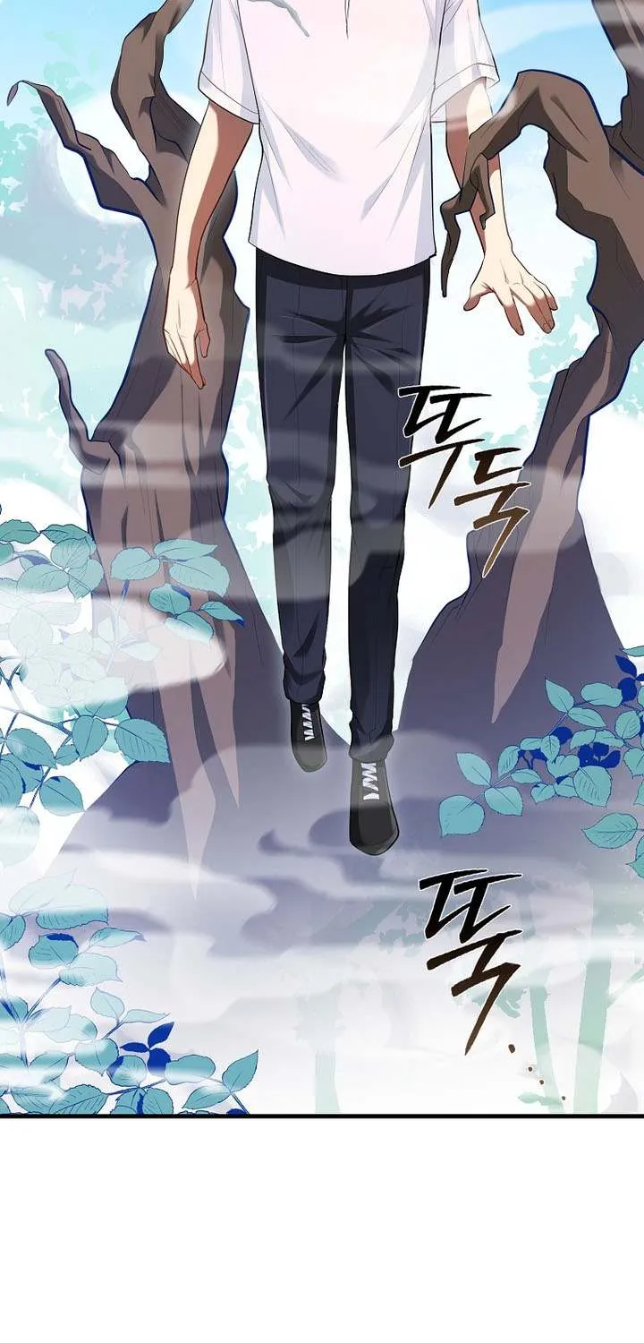 Read I Came Back as a Martial Genius Manga Online