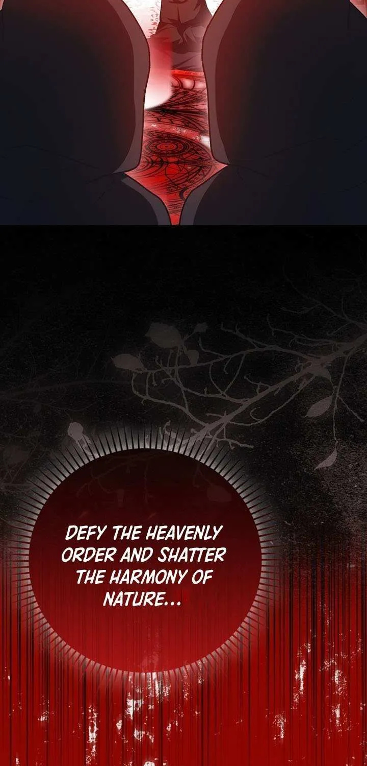 Read I Came Back as a Martial Genius Manga Online