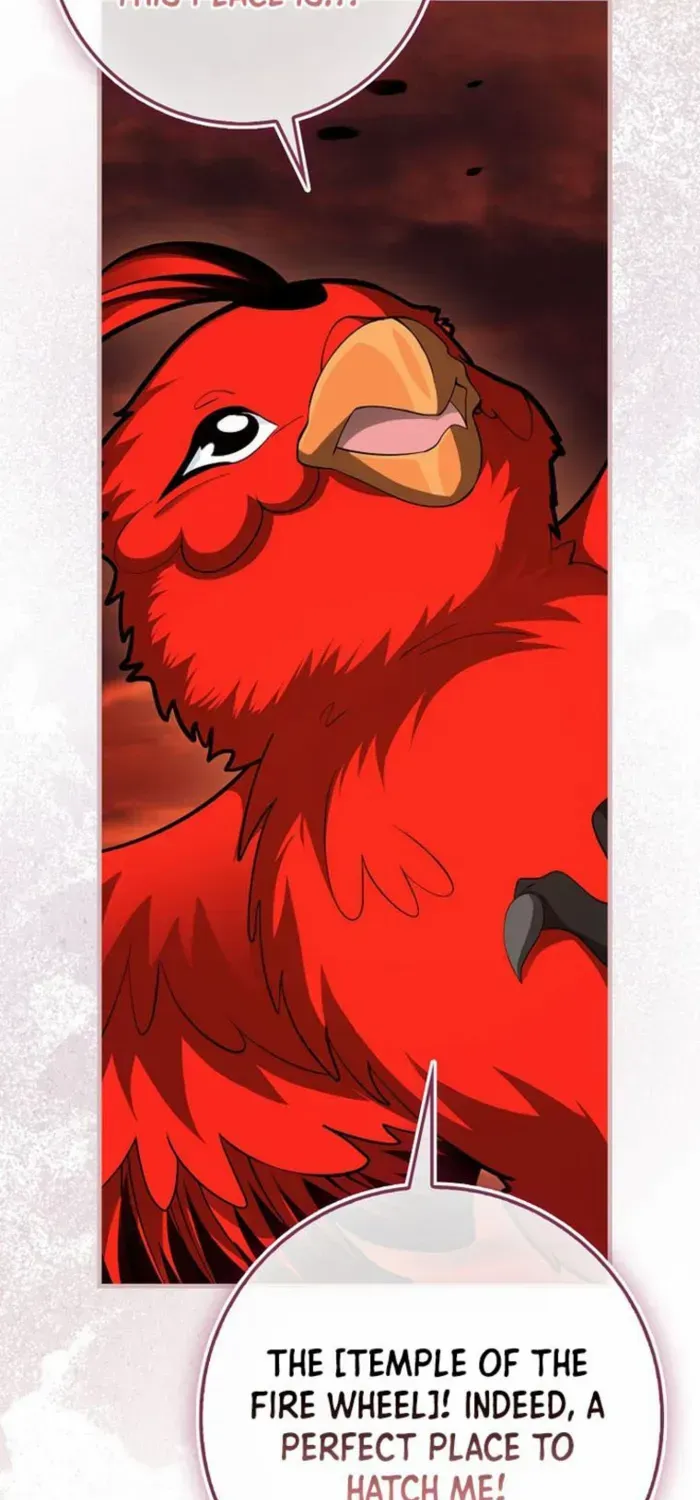 Read I Came Back as a Martial Genius Manga Online