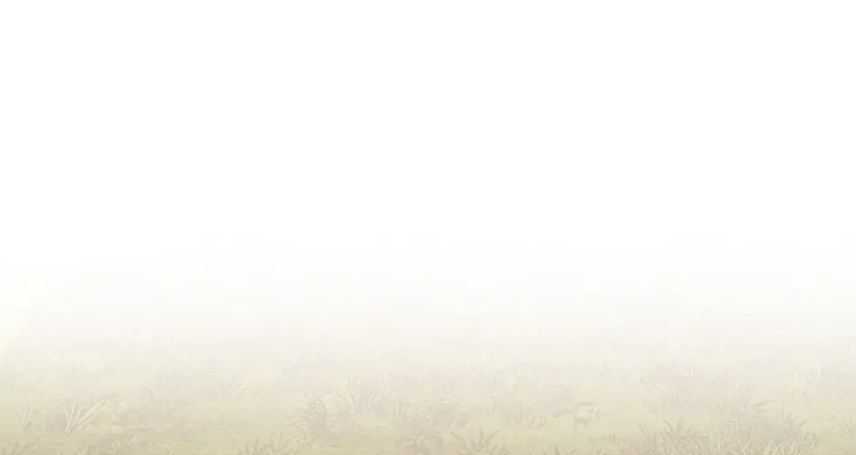 Read I Came Back as a Martial Genius Manga Online