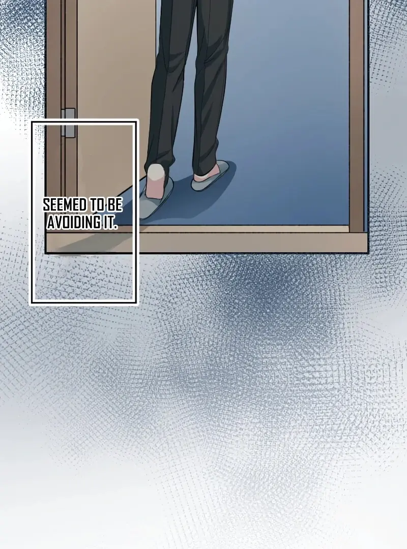 Read I Peeked at My Husband's Secret Account Manga Online